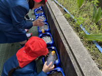 水やり