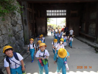 DSC03525