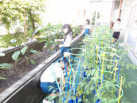 IMGP0004