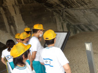 IMGP0500