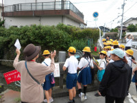 IMGP1156