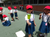 IMGP1212