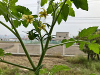 82F45DB0-9EA9-44D4-A977-688511DD54C9