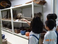 DSC02926