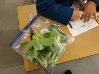 ワークシート記入