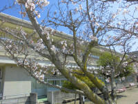 CIMG3798