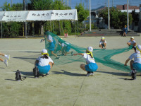 CIMG4962