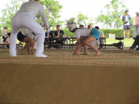 IMG_1191